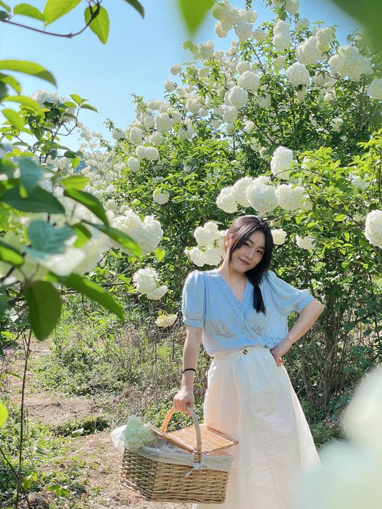 ae2c539f2963c1cab3c00f5c96a0c52